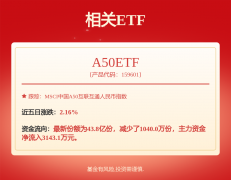 中国工程中国食物